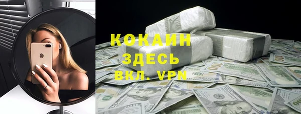 соль ск Алзамай