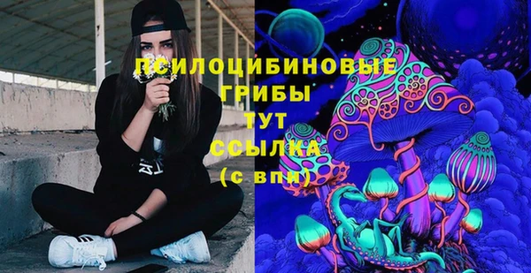 соль ск Алзамай