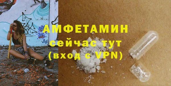 мет Алексин