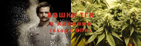мет Алексин