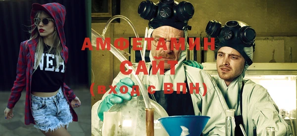 мет Алексин