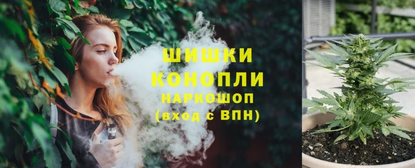 соль ск Алзамай
