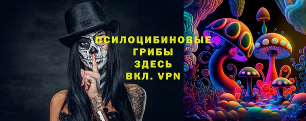 соль ск Алзамай