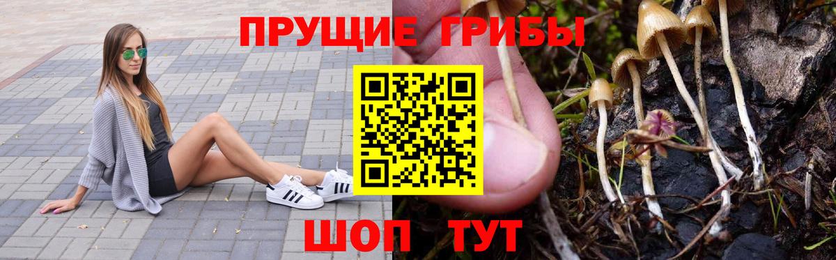 Галлюциногенные грибы мухоморы Ижевск